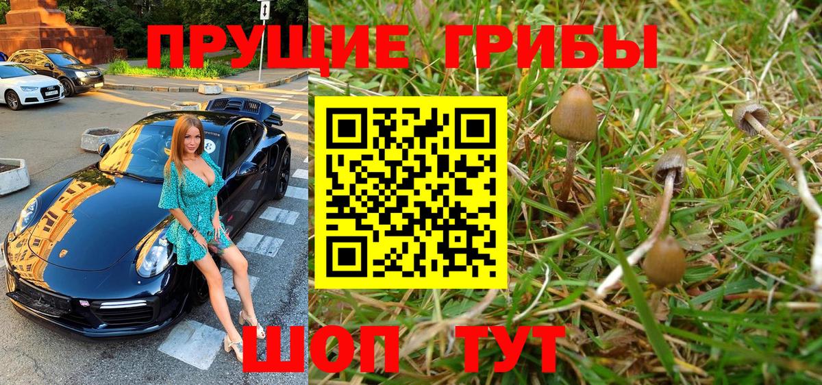 Галлюциногенные грибы мицелий Бирск