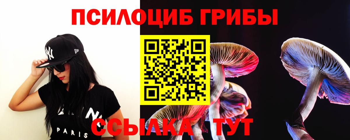 Галлюциногенные грибы Psilocybe  Вход с VPN  Бирск  Псилоцибиновые грибы ЛСД 